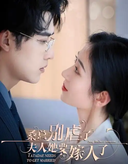长夜燃灯 热播电视剧全集手机免费在线观看